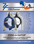 Cush-A-Nator Flyer